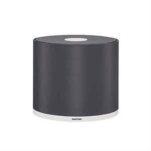 Pantone Mintaka 25 Skærm Grå